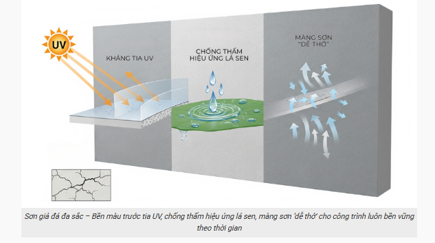 demo ứng dụng sơn giả đá