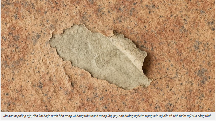 hình ảnh NG sơn 2